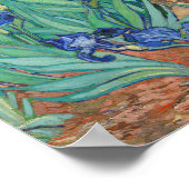 Vincent Van Gogh - Irises Poster (Hoek)