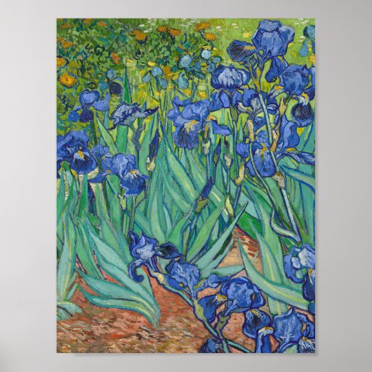 Vincent Van Gogh - Irises Poster (Voorkant)