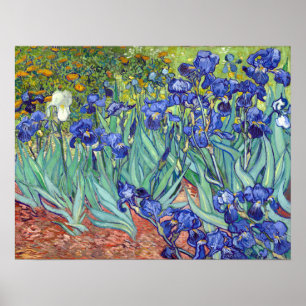 Vincent van Gogh Irises Poster