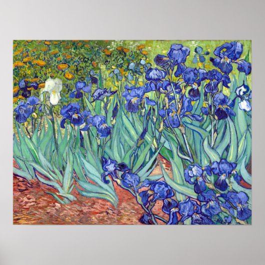 Vincent van Gogh Irises Poster (Voorkant)