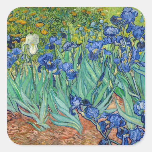 Vincent Van Gogh - Irises Vierkante Sticker (Voorkant)