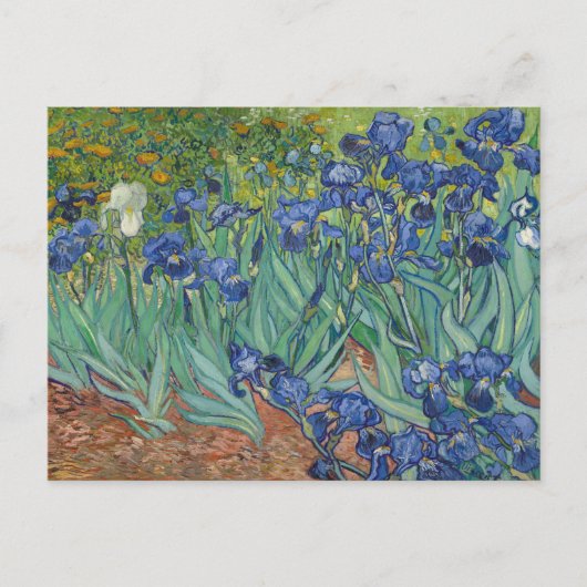 Vincent van Gogh, Irissen, Les Iris Briefkaart (Voorkant)