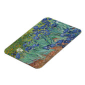 Vincent van Gogh, Irissen, Les Iris Magneet (Linkerzijde)