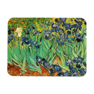 Vincent van Gogh,Irissen Magneet