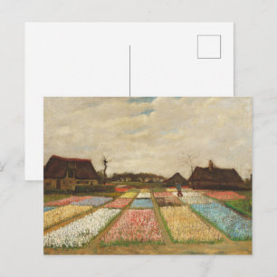 Vincent Van Gogh Olie Schilderij Bloembol Velden Briefkaart
