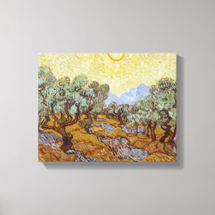 Vincent van Gogh Olijfbomen, 1889 Canvas Afdruk