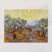 Vincent van Gogh - Olijfbomen, Gele Lucht en Zon Briefkaart (Voorkant)