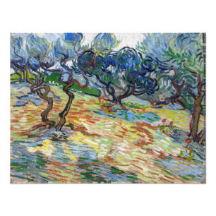 Vincent van Gogh - Olijfbomen: helderblauwe lucht Foto Afdruk