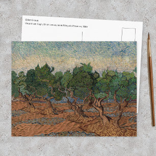 Vincent van Gogh - Olijfgaard Briefkaart