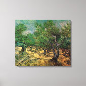 Vincent van Gogh - Olijfgaard Canvas Afdruk (Voorkant)
