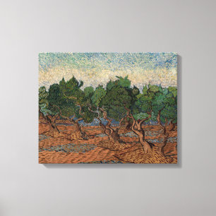 Vincent van Gogh - Olijfgaard Canvas Afdruk