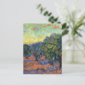 Vincent van Gogh Olijfgaard Impressionisme Kunst Briefkaart (Staand voorkant)