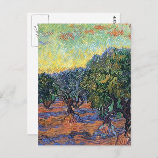 Vincent van Gogh Olijfgaard Impressionisme Kunst Briefkaart (Voorkant / Achterkant)