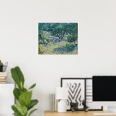 Vincent van Gogh - Olijfgaard Poster (Thuiskantoor)