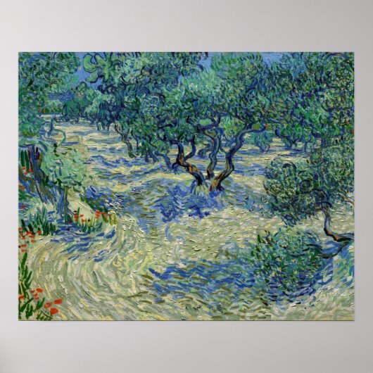 Vincent van Gogh - Olijfgaard Poster (Voorkant)