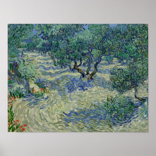 Vincent van Gogh - Olijfgaard Poster (Voorkant)
