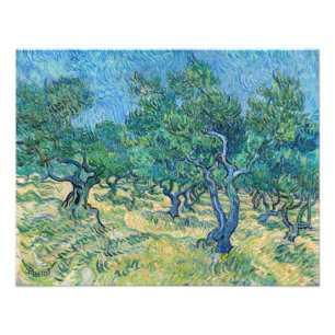 Vincent van Gogh - Olive Grove Foto Afdruk