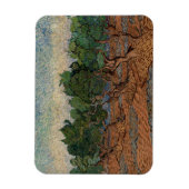 Vincent van Gogh - Olive Grove Magneet (Verticaal)
