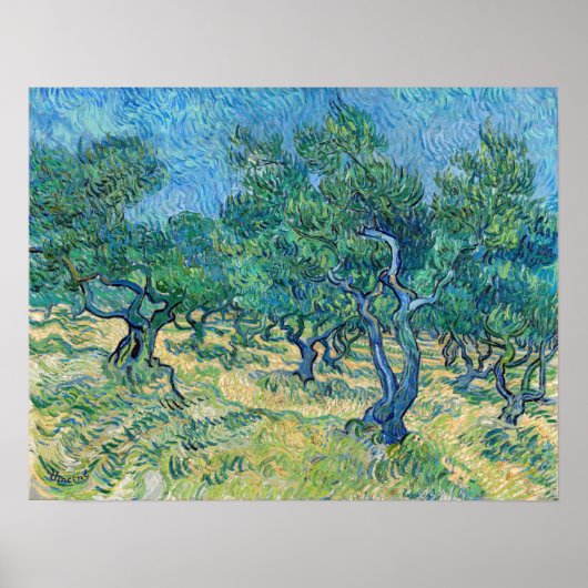 Vincent van Gogh - Olive Grove Poster (Voorkant)