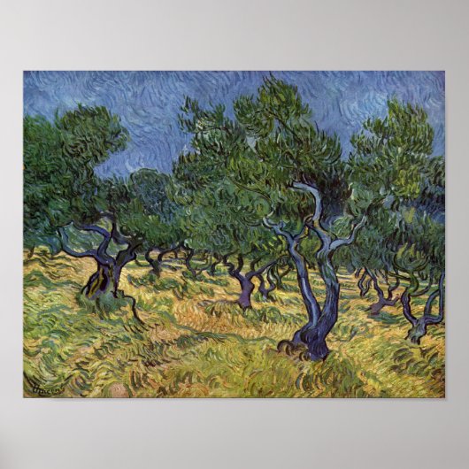 Vincent van Gogh - Olive Grove Poster (Voorkant)
