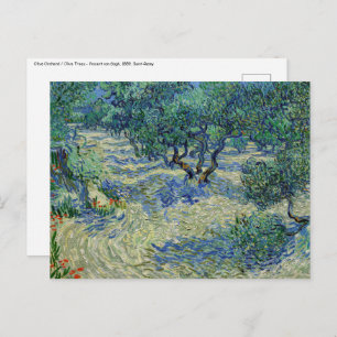 Vincent van Gogh - Olive Orchard Briefkaart