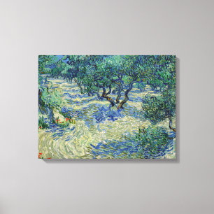 Vincent van Gogh - Olive Orchard Canvas Afdruk