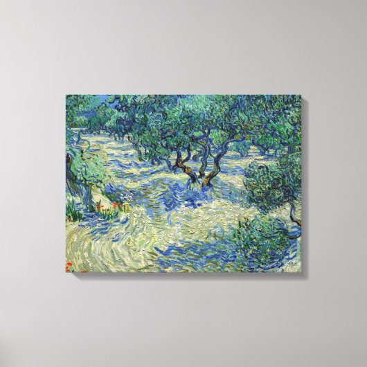 Vincent van Gogh - Olive Orchard Canvas Afdruk (Voorkant)