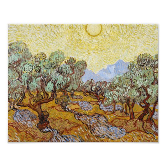 Vincent van Gogh - Olive Trees Foto Afdruk (Voorkant)