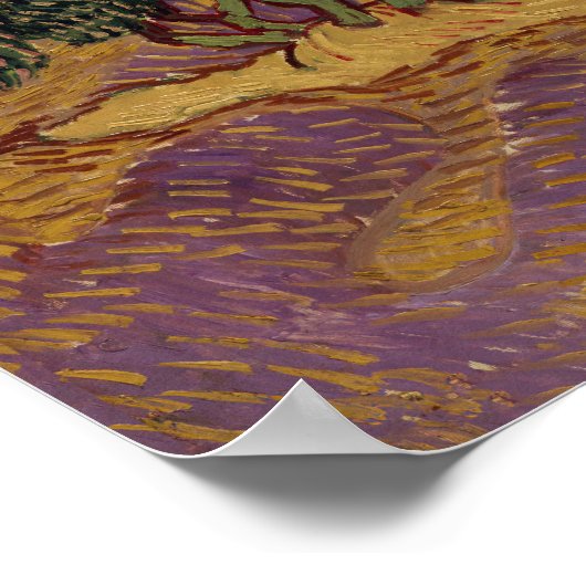 Vincent van Gogh - Olive Trees Poster (Hoek)