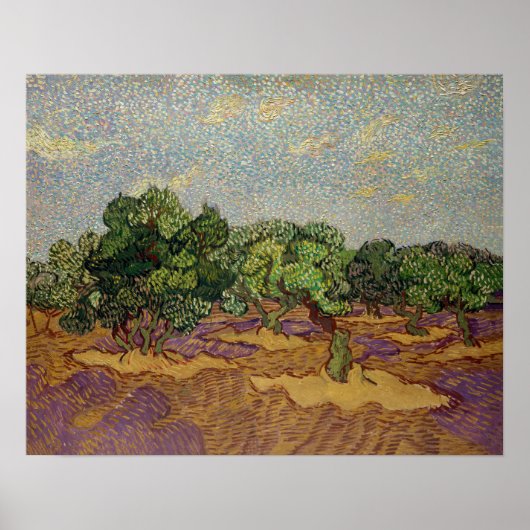 Vincent van Gogh - Olive Trees Poster (Voorkant)