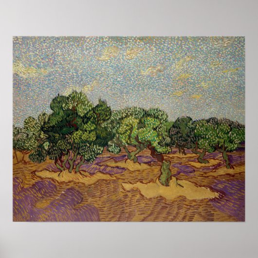Vincent van Gogh - Olive Trees Poster (Voorkant)