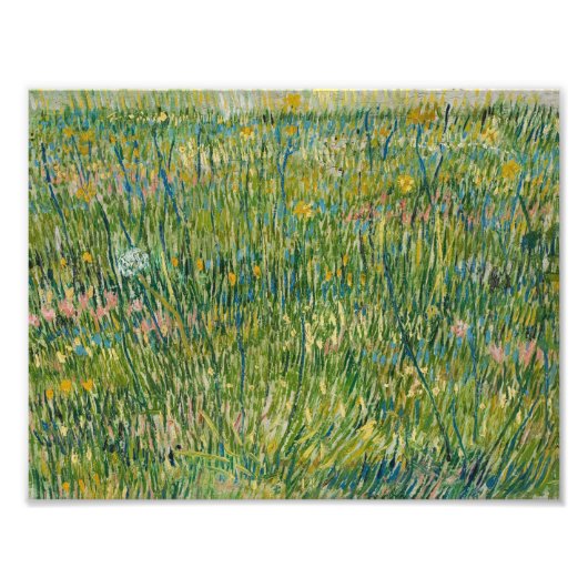 Vincent van Gogh - Patch of Grass Foto Afdruk (Voorkant)