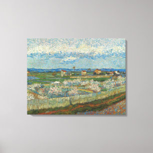 Vincent Van Gogh  Perzikbomen in Blossom Canvas Afdruk