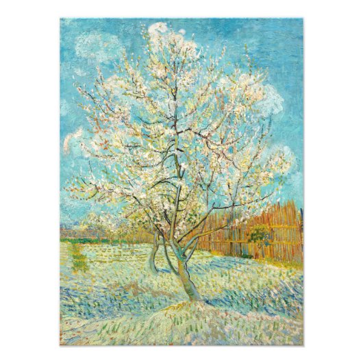 Vincent van Gogh - Pink Peach Tree in Blossom Foto Afdruk (Voorkant)