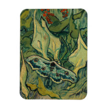 Vincent van Gogh - Reuzenpauw