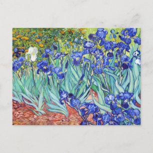 Vincent Van Gogh schilderij Irissen Briefkaart