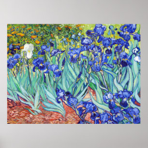 Vincent Van Gogh schilderij Irissen Poster
