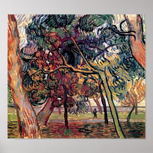 Vincent van Gogh - Studie naar Pine Trees Fine Art Poster (Voorkant)