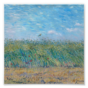 Vincent Van Gogh - Tarweveld met een Lark Foto Afdruk