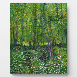 Vincent van Gogh Trees en ondergroei Fotoplaat