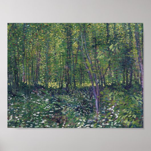 Vincent Van Gogh - Trees en undergrowth Poster (Voorkant)