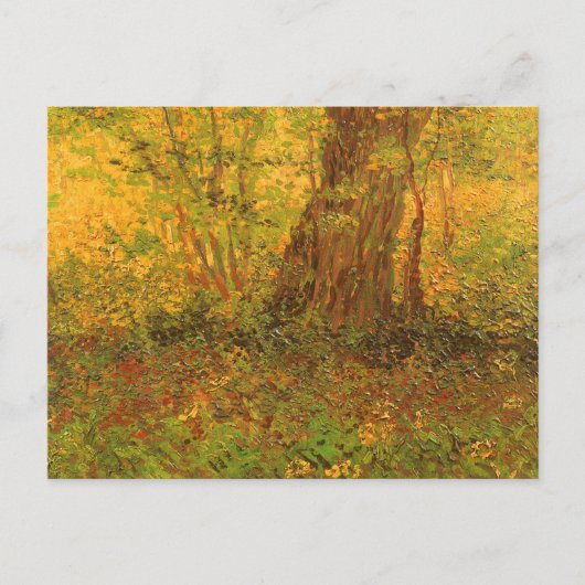 Vincent van Gogh - Undergrowth Briefkaart (Voorkant)