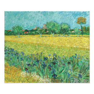 Vincent van Gogh - Veld met irissen bij Arles Foto Afdruk