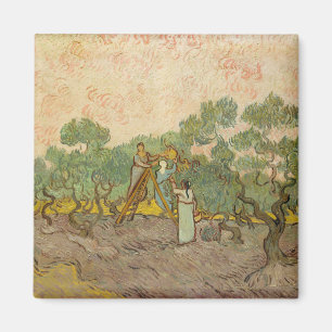 Vincent van Gogh - Vrouwen die olijven plukken Magneet