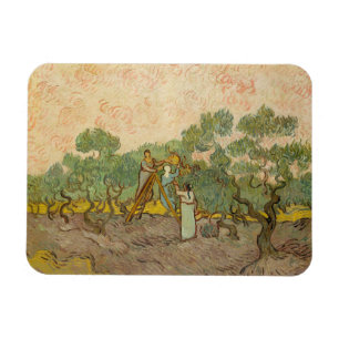 Vincent van Gogh - Vrouwen die Olijven schoppen Magneet