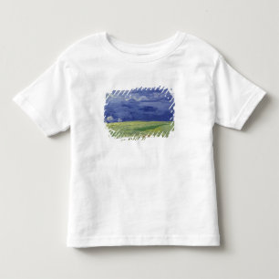 Vincent van Gogh Wielvelden onder Thundercloud Kinder Shirts