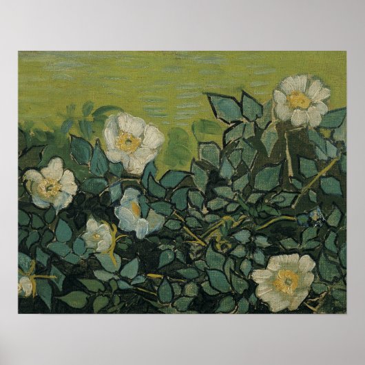 Vincent van Gogh - Wilde Rozen Poster (Voorkant)