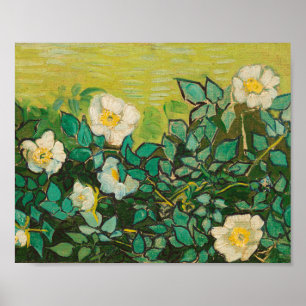 Vincent Van Gogh Wilde Rozen Poster