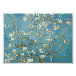 Vincent van Gogh's Almond Blossom (1890) Foto Afdruk