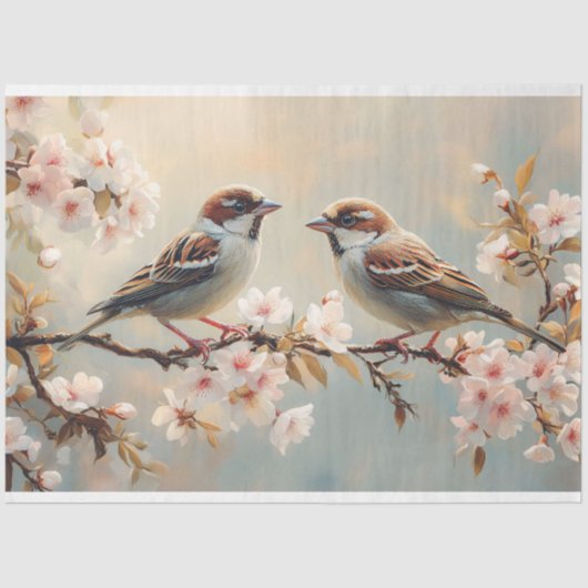 Vinchvogels op een Cherry Blossom Branch Decoupage Tissuepapier (Voorkant)